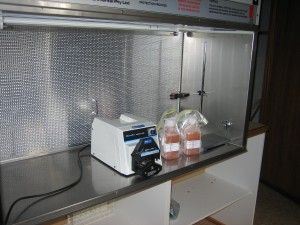 Laminar flow cabinet for product protection
